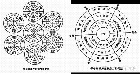 木水運|五運六氣